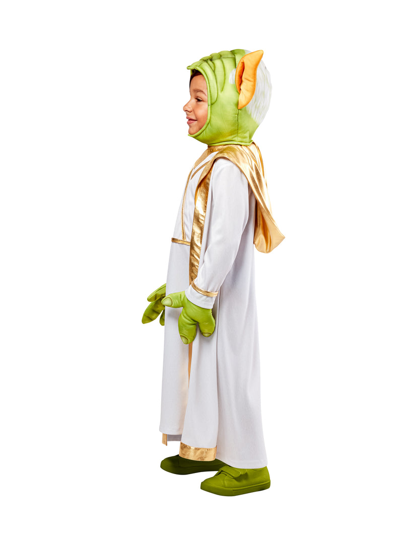 Master Yoda