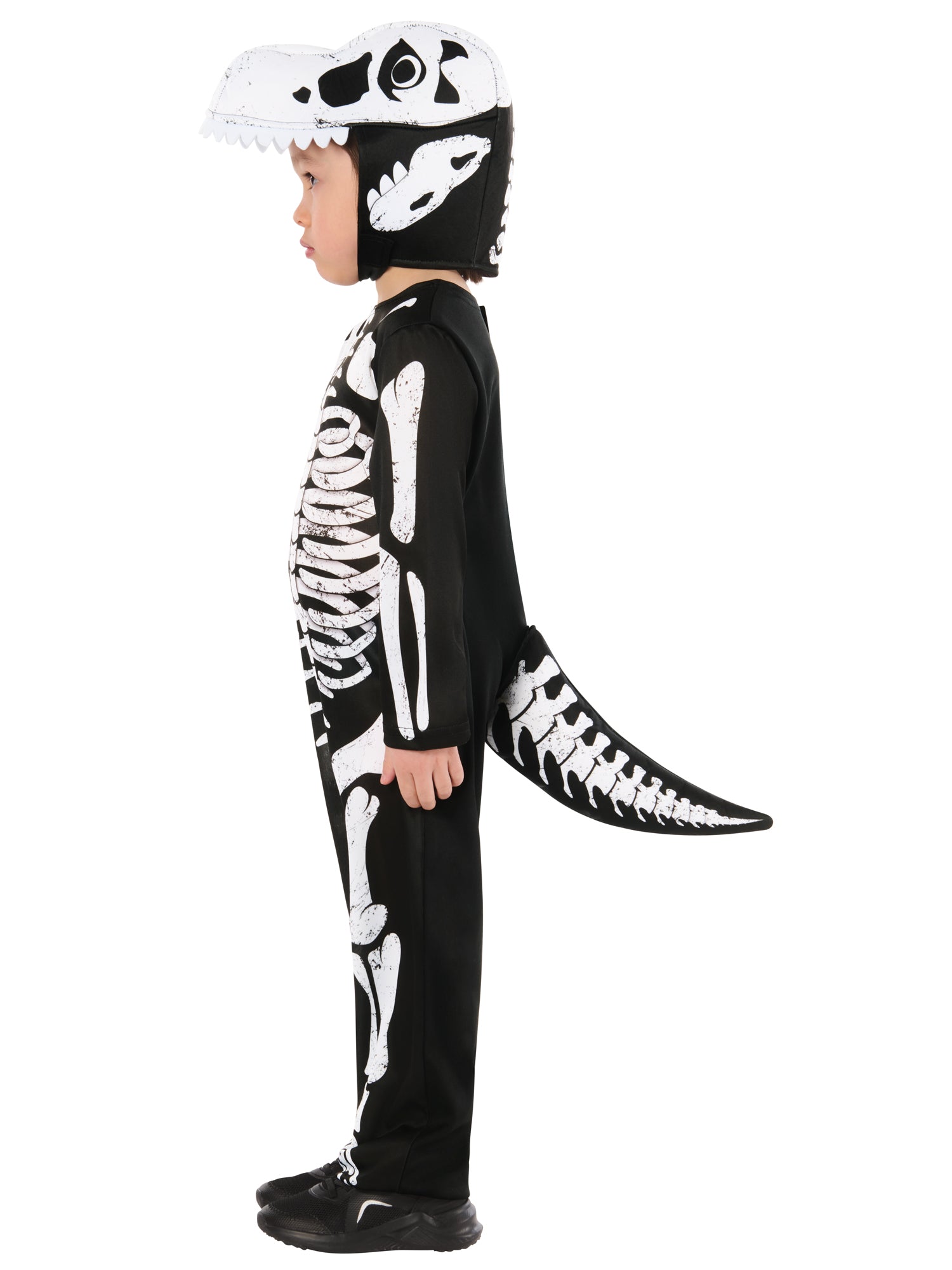Skeleton Dinosaur