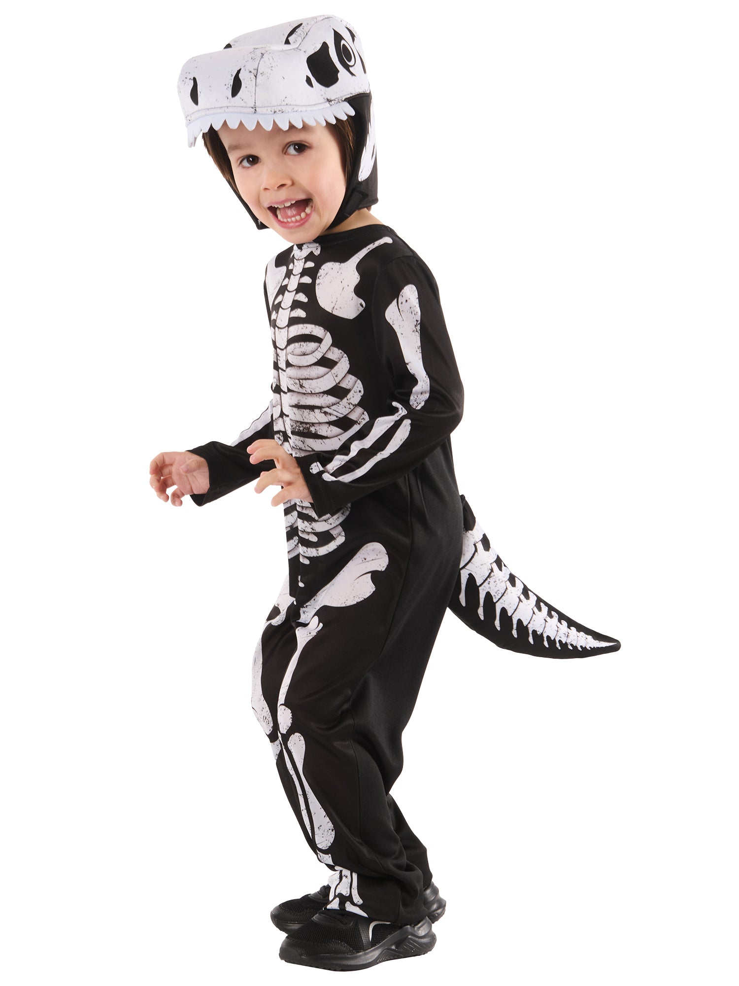 Skeleton Dinosaur