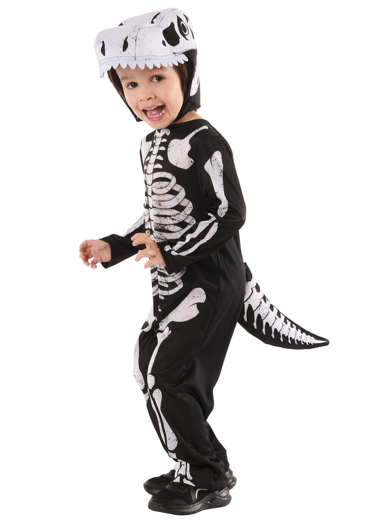 Skeleton Dinosaur