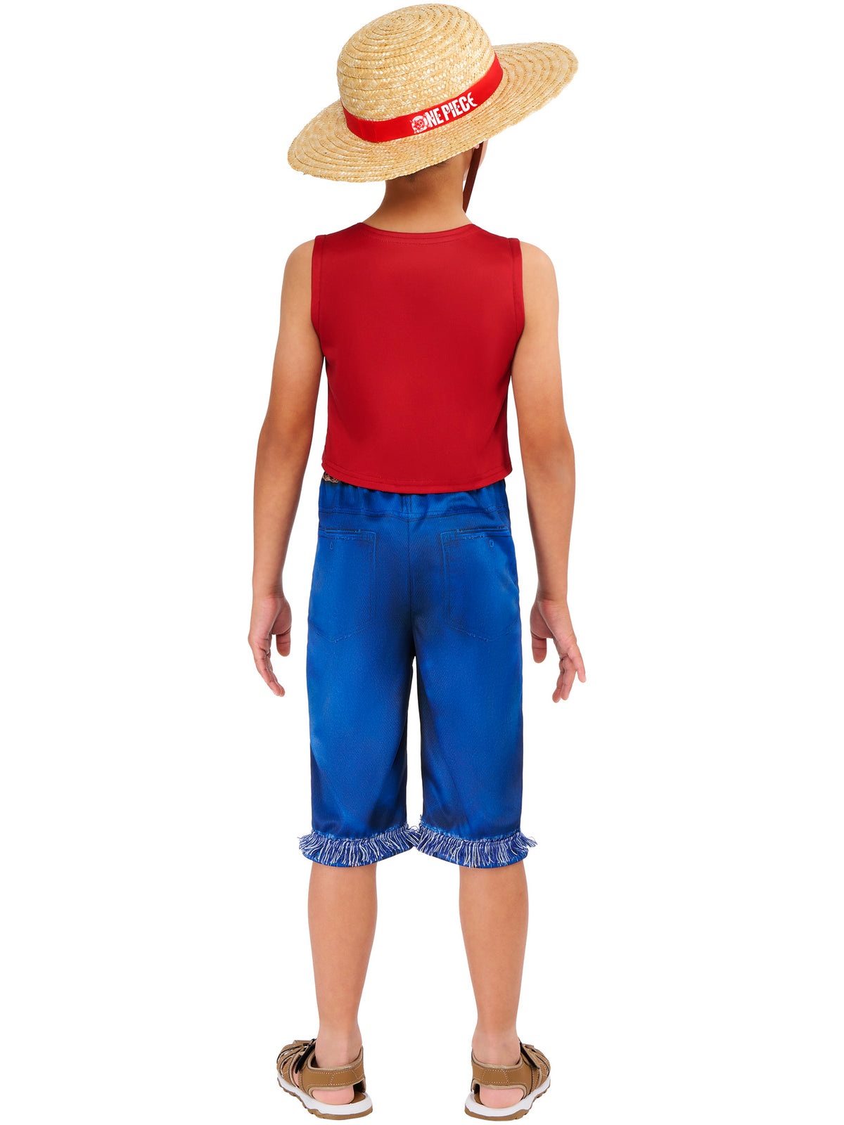 Monkey D. Luffy 2