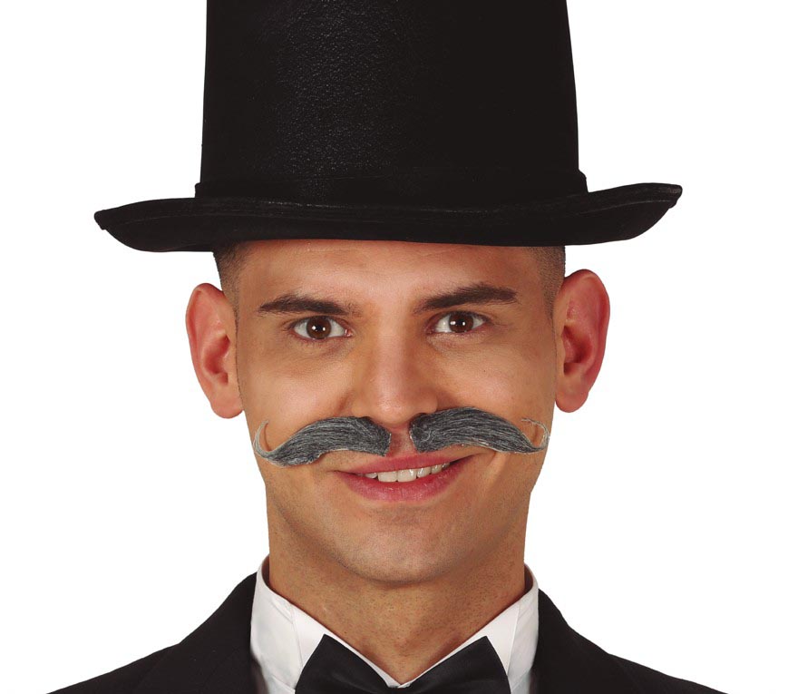 GRAY BAVARIAN MOUSTACHE