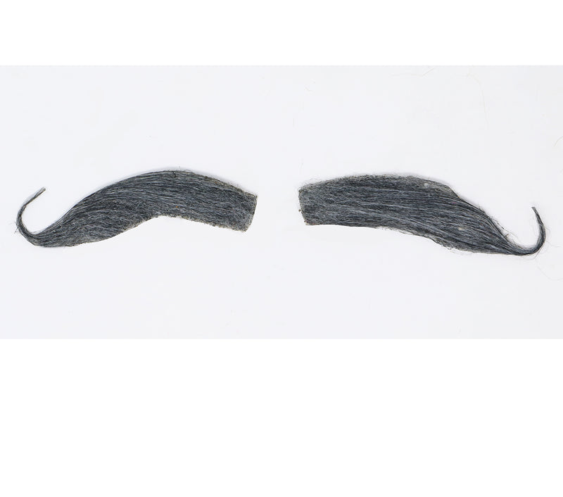 GRAY BAVARIAN MOUSTACHE