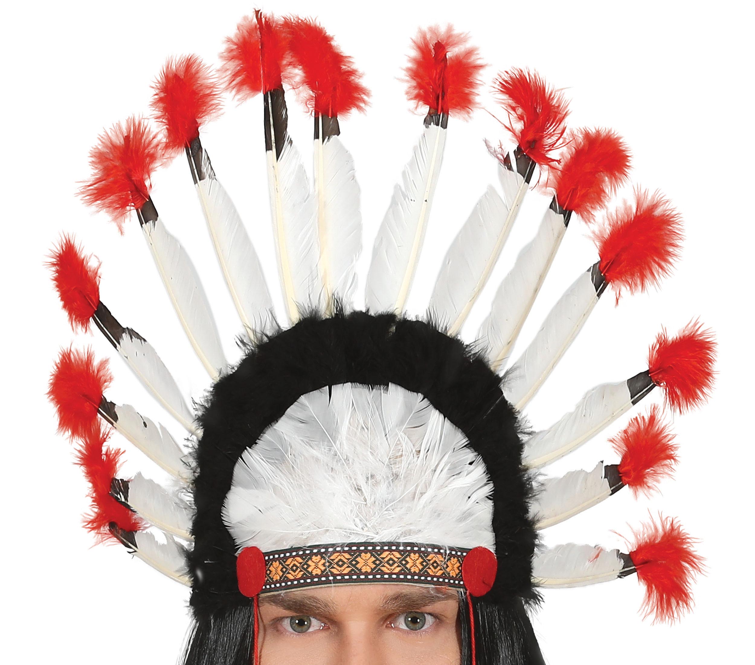 INDIAN FEATHERS PLUME