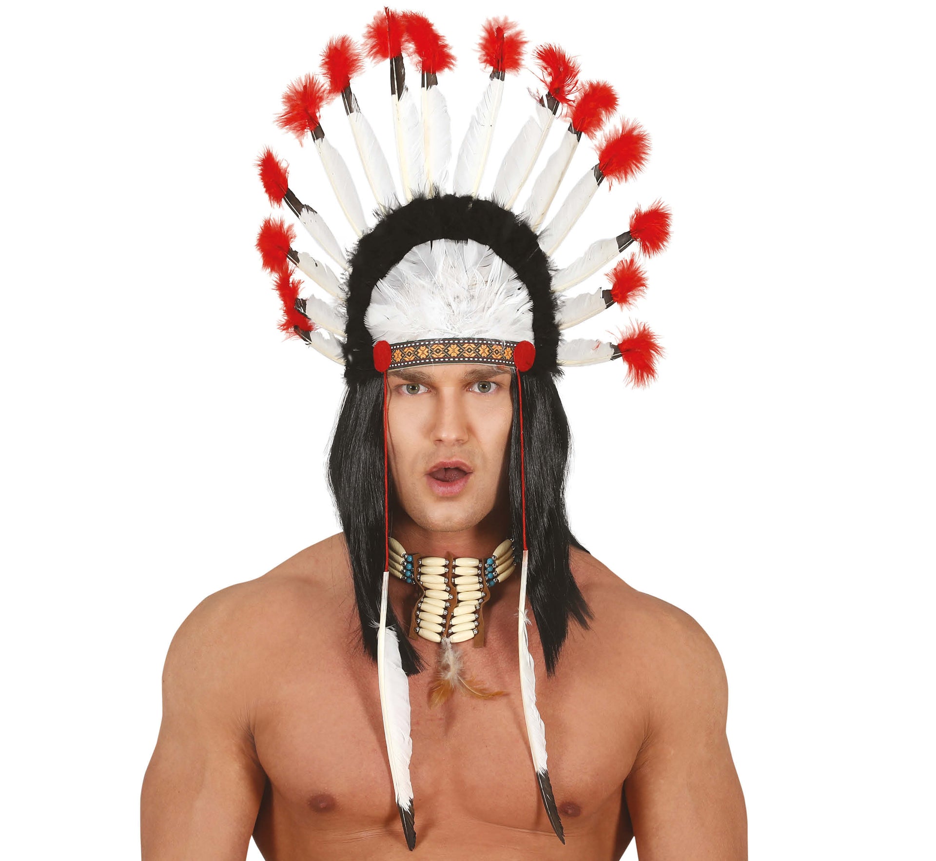 INDIAN FEATHERS PLUME
