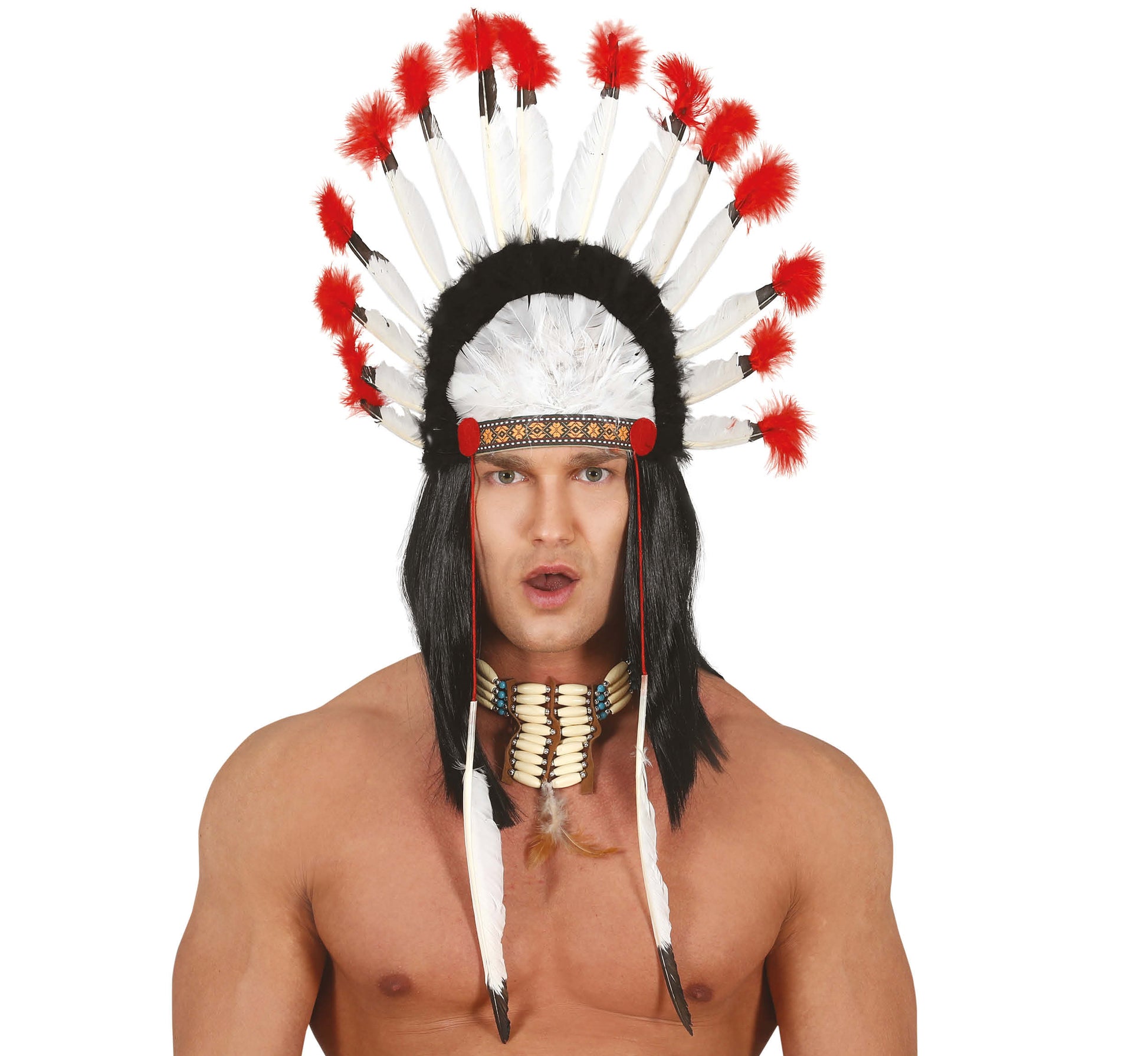 INDIAN FEATHERS PLUME