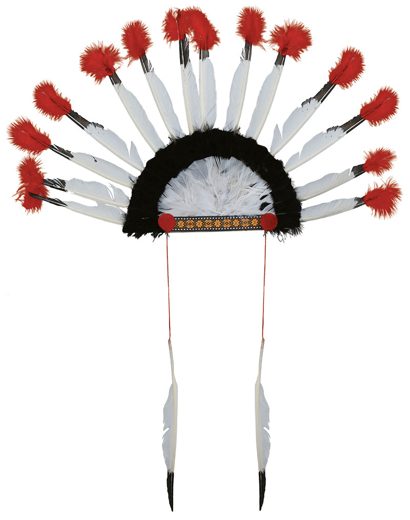 INDIAN FEATHERS PLUME
