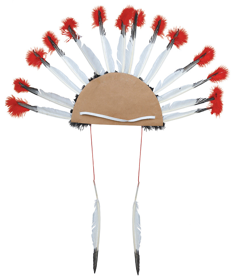INDIAN FEATHERS PLUME