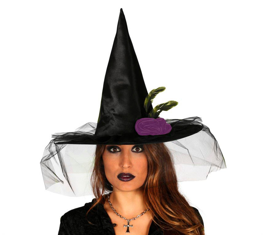 WITCH HAT WITH VEIL