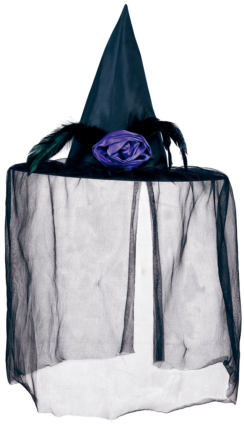 WITCH HAT WITH VEIL