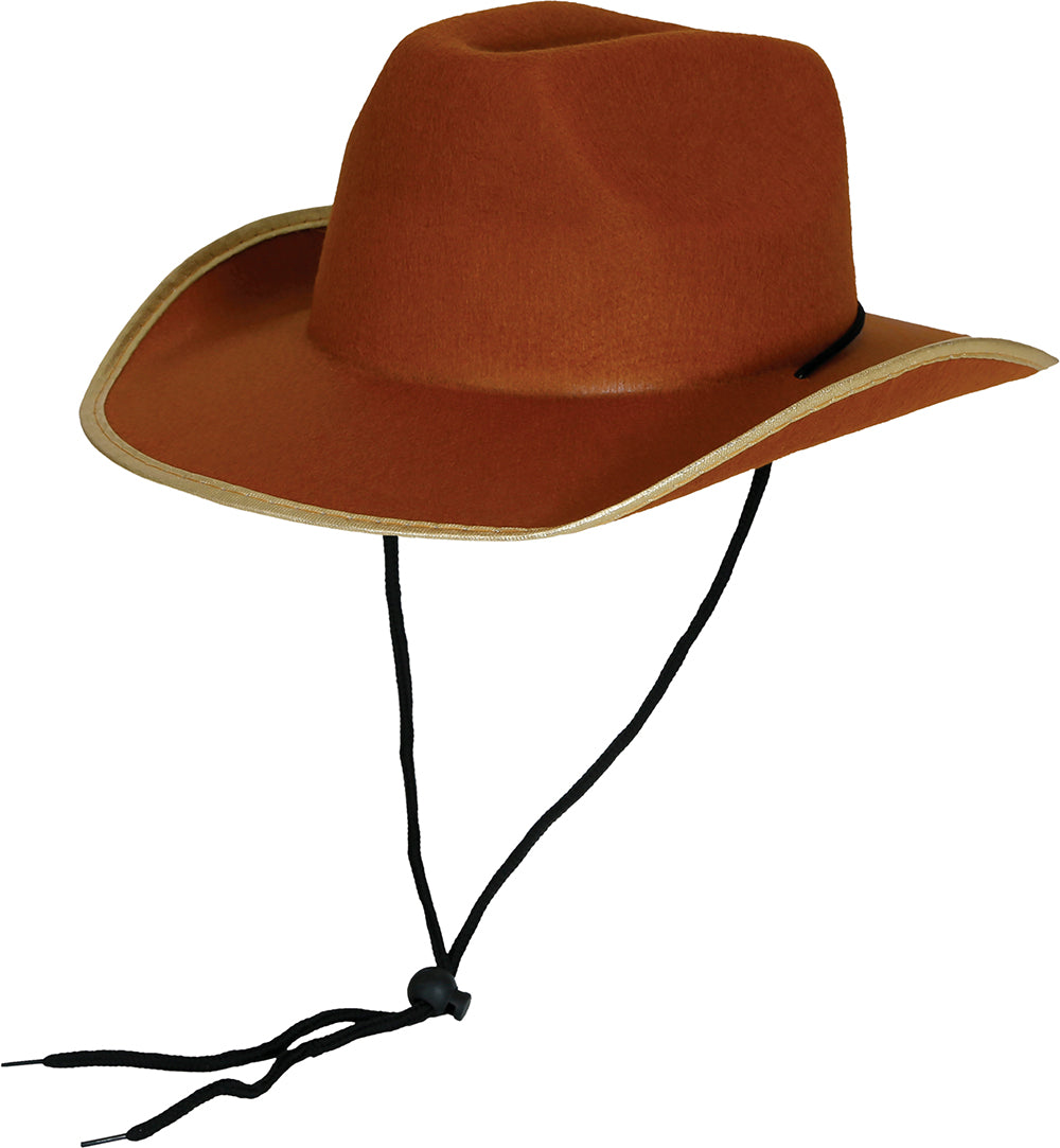 BROWN FELT COWBOY HAT