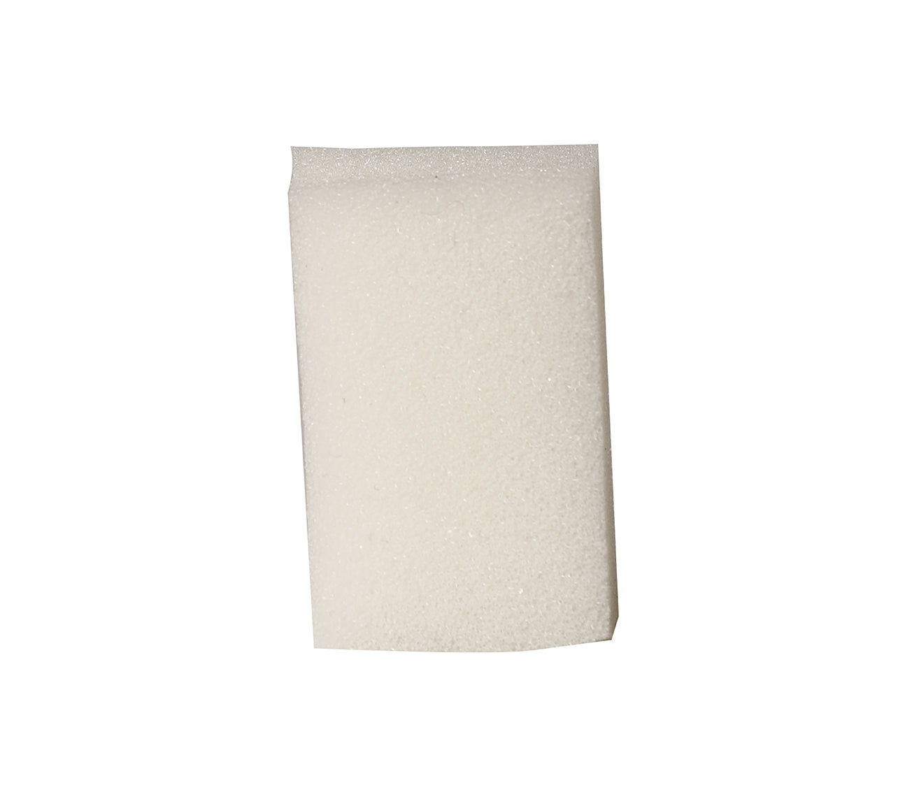 LATEX WITH SPONGE 26 ML