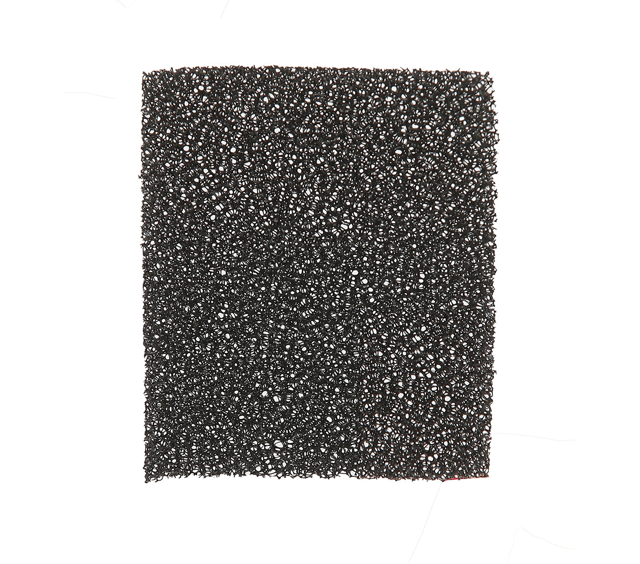 SPONGE FOR BEARD