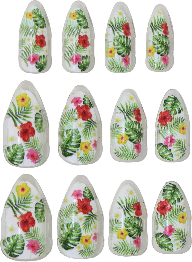 12 NAILS WITH GLUE