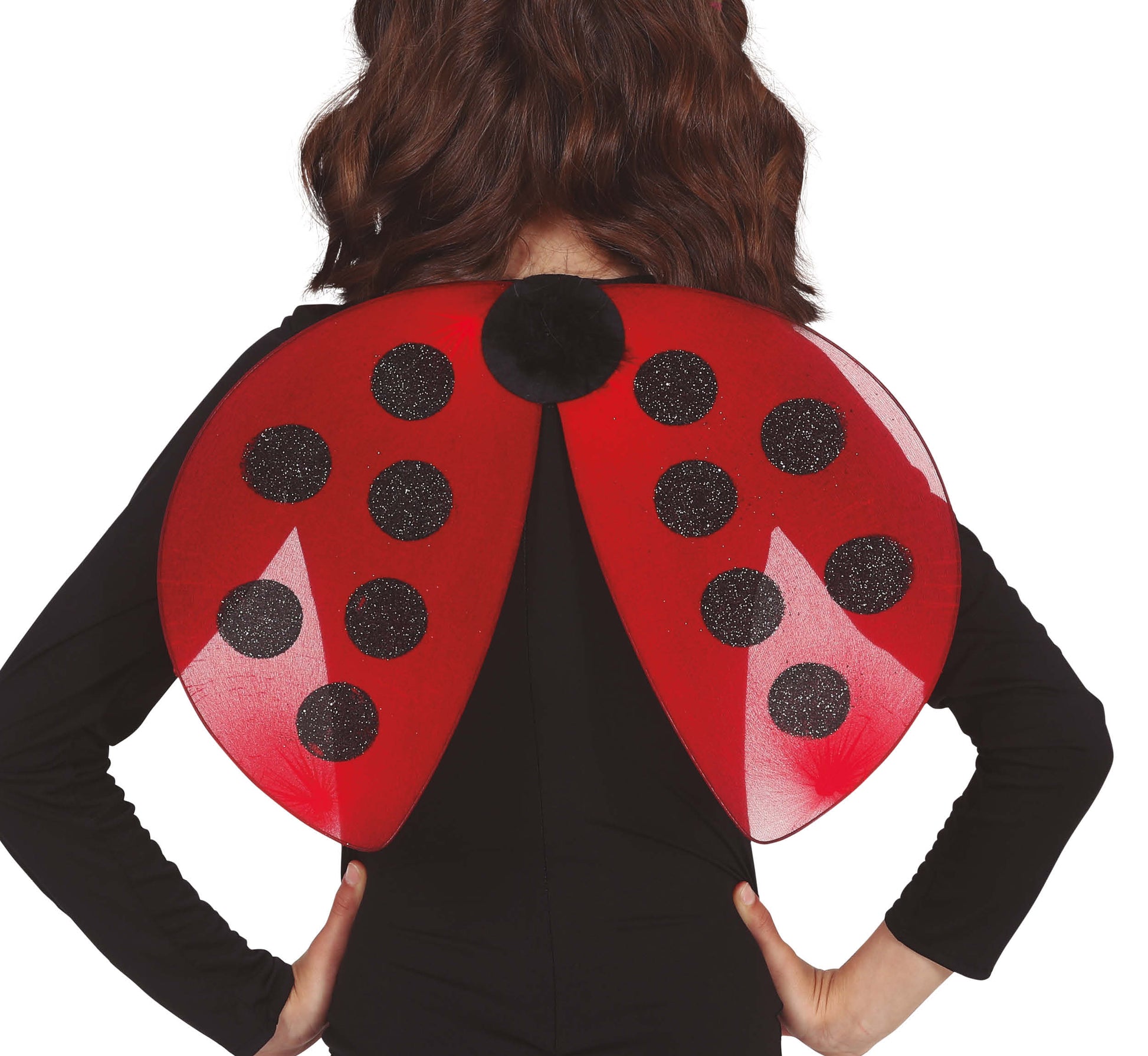 LADYBIRD WINGS 40X30 CMS.