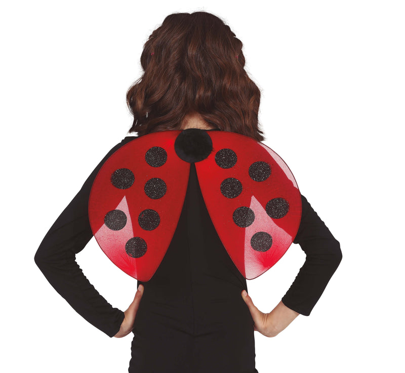 LADYBIRD WINGS 40X30 CMS.