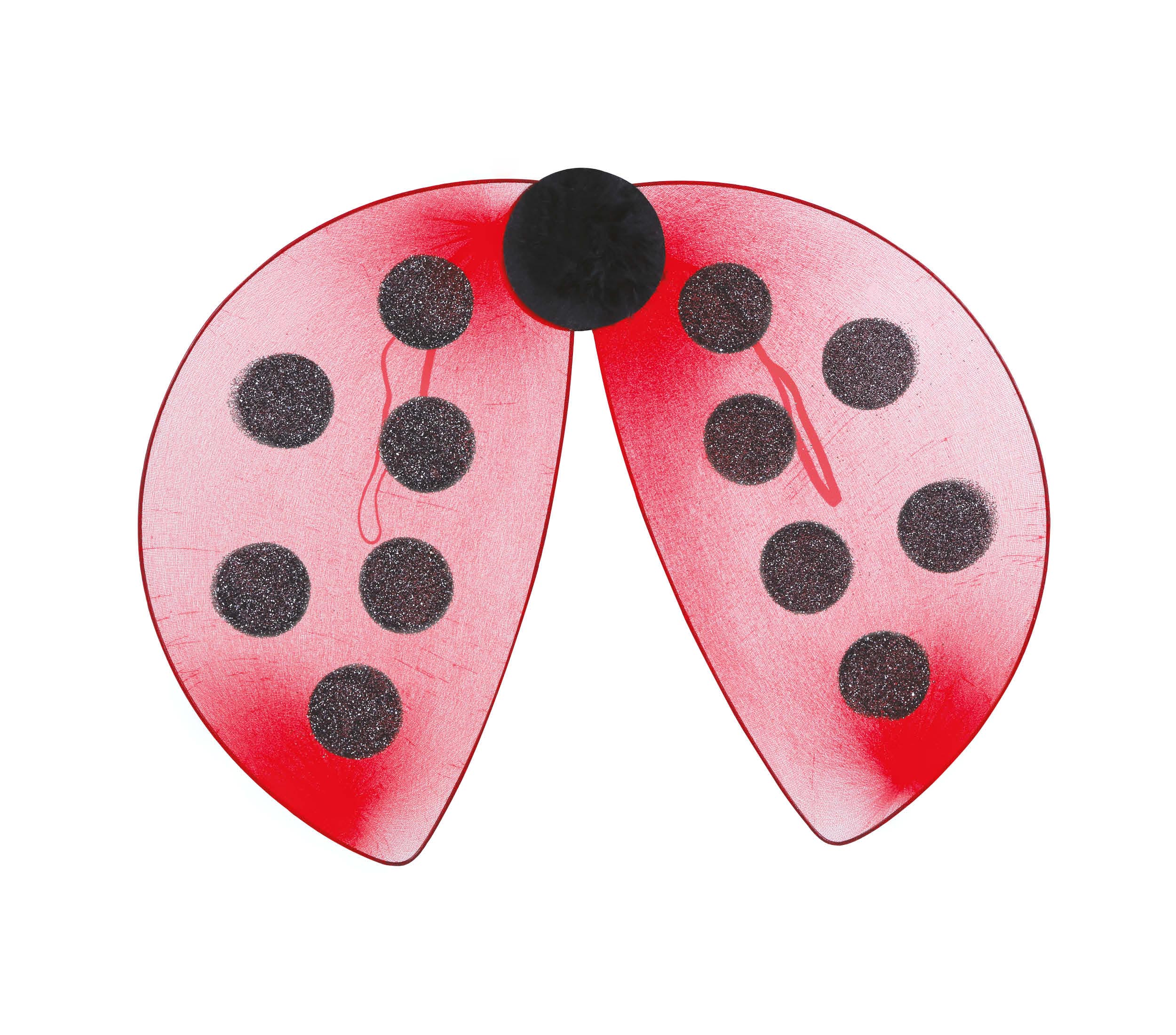 LADYBIRD WINGS 40X30 CMS.