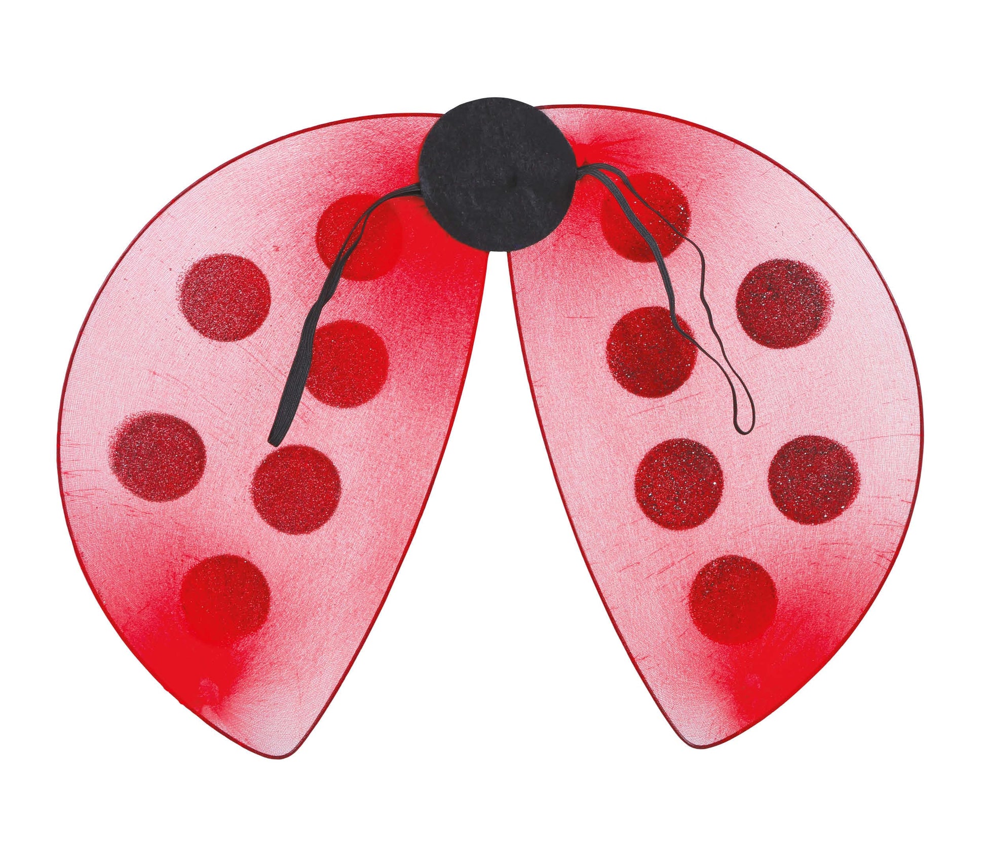 LADYBIRD WINGS 40X30 CMS.