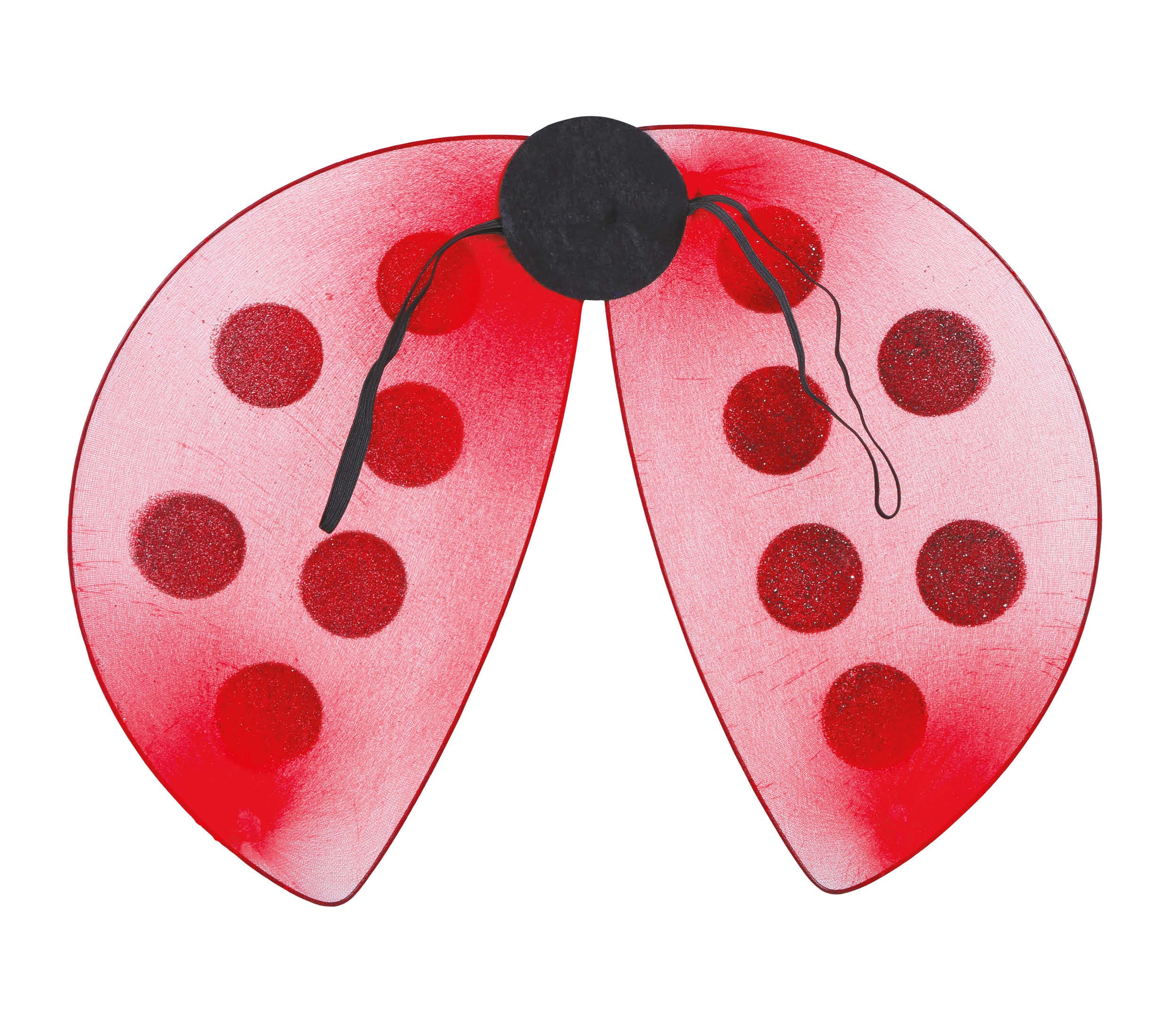LADYBIRD WINGS 40X30 CMS.