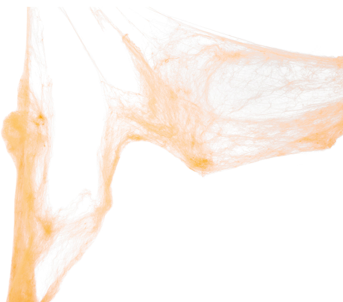 COBWEB, 60 GR