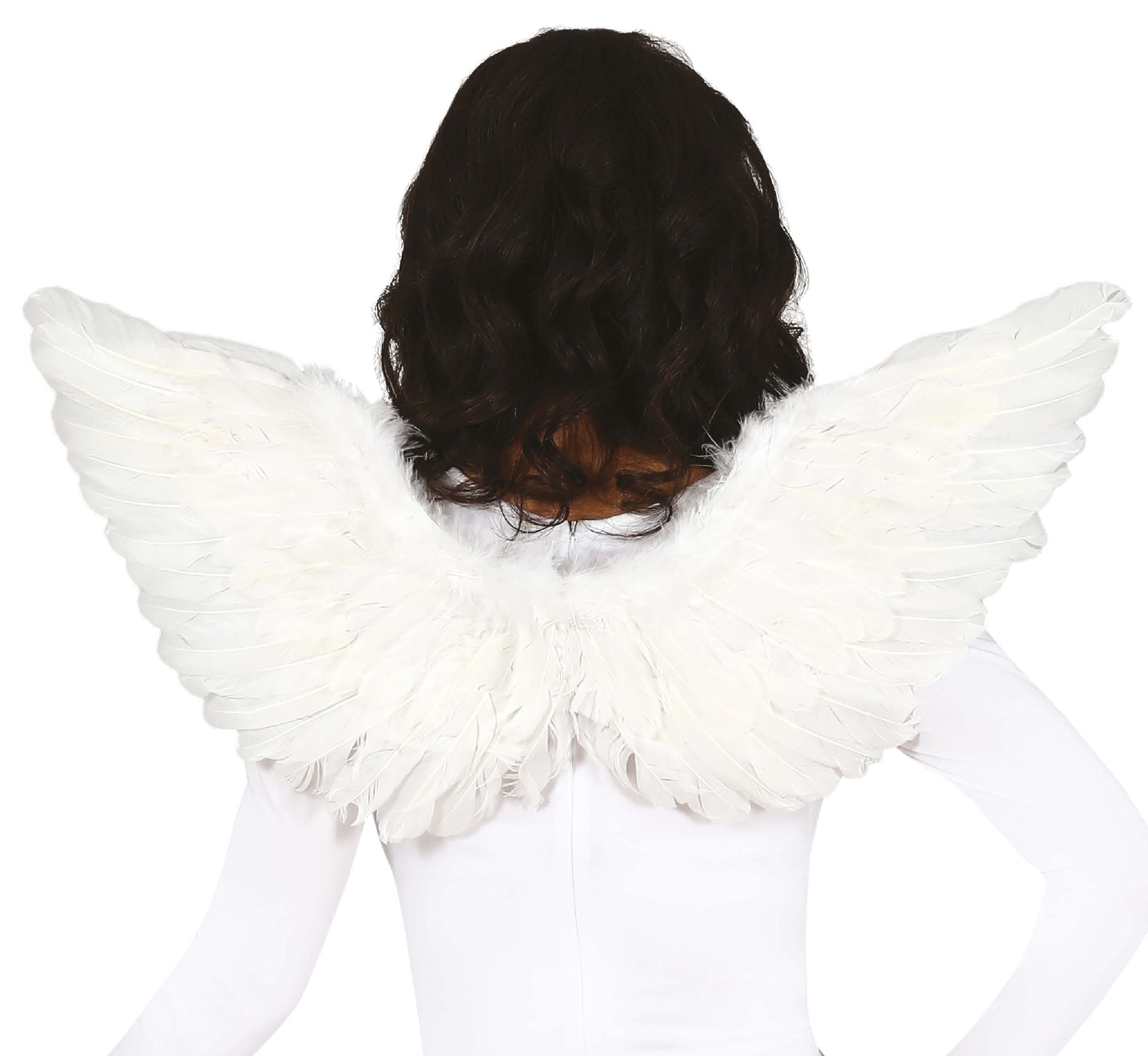 FEATHER WINGS, 70X40 CM