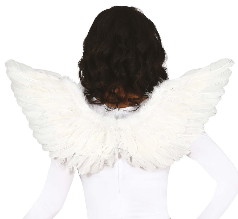 FEATHER WINGS, 70X40 CM