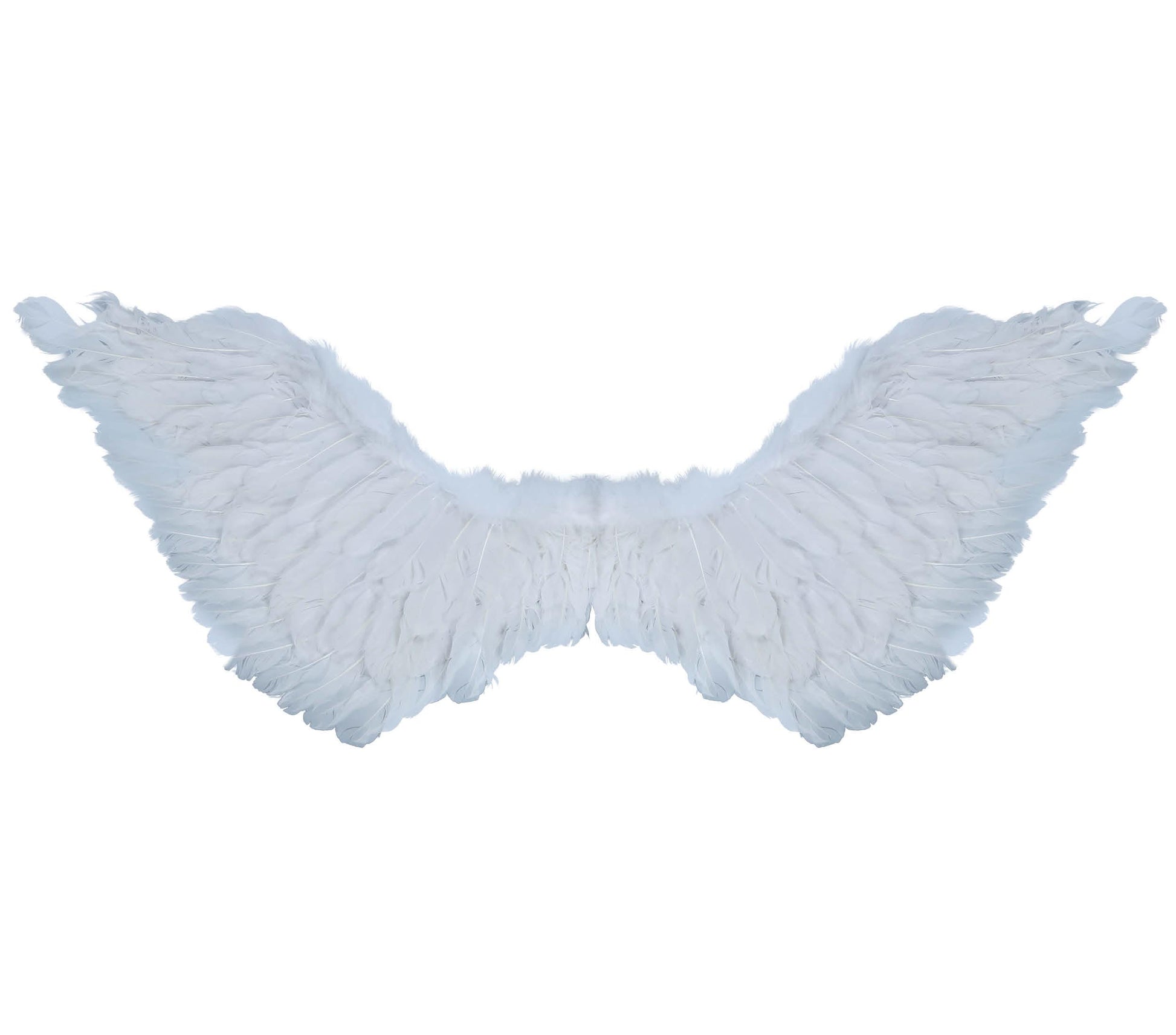 FEATHER WINGS, 106 CM