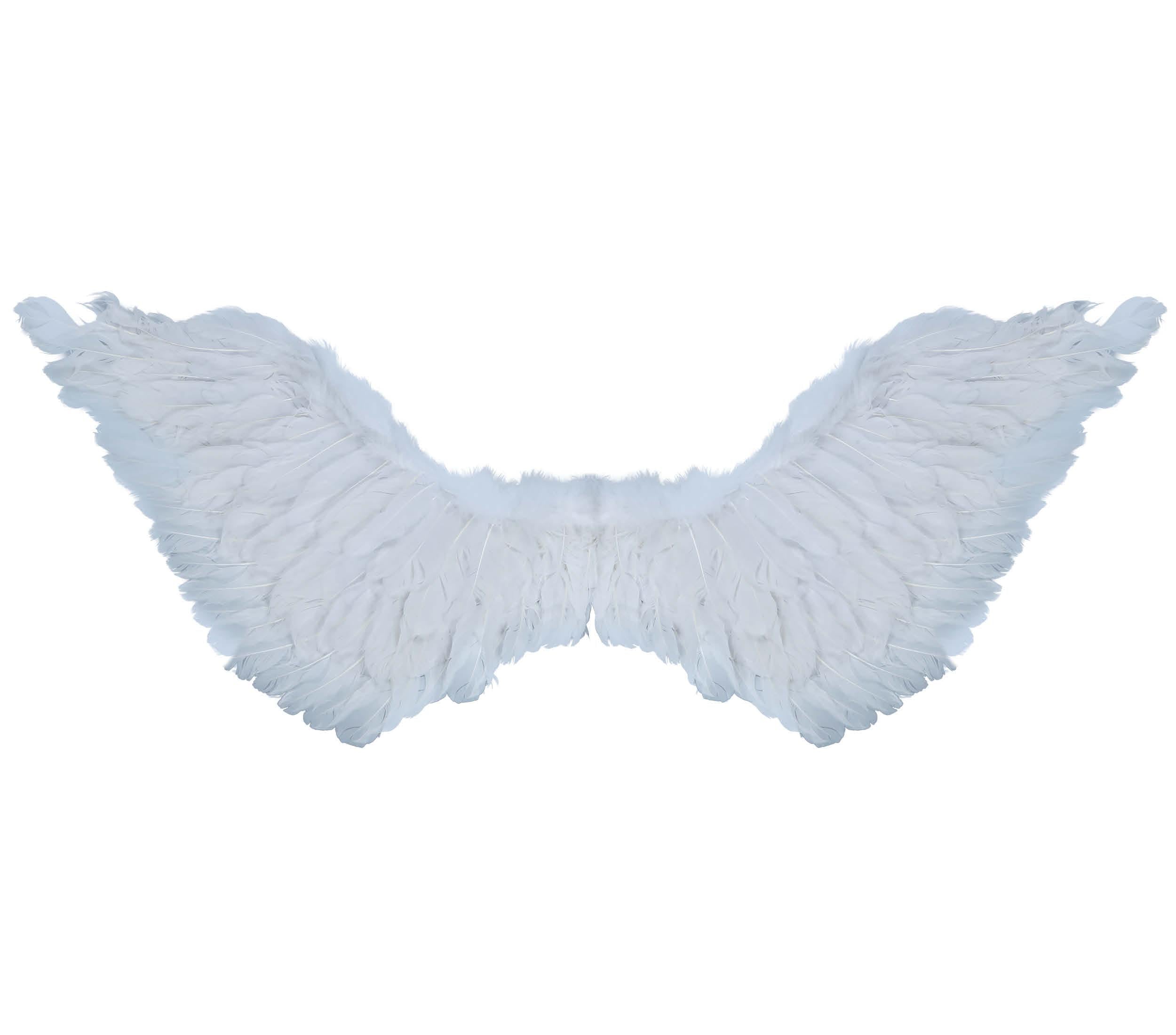 FEATHER WINGS, 106 CM
