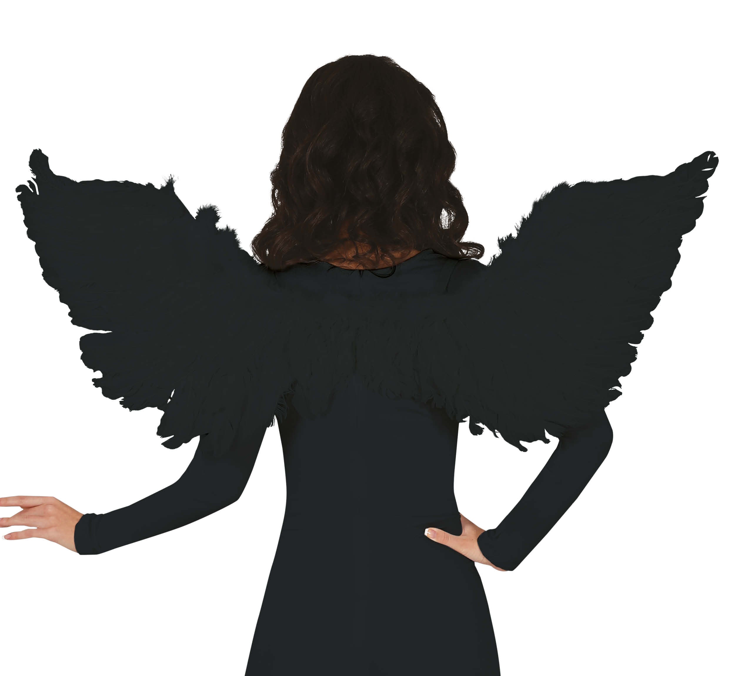 FEATHER WINGS, 106 CM