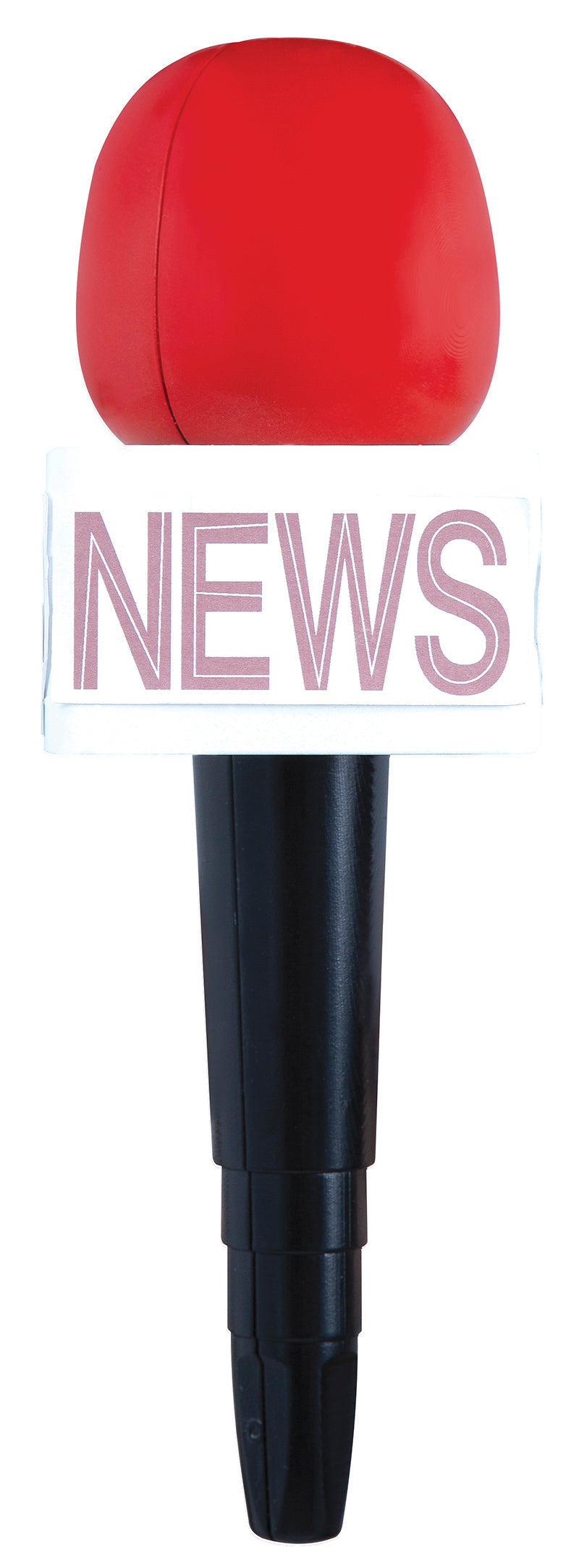 REPORTER MICROPHONE 25 CMS