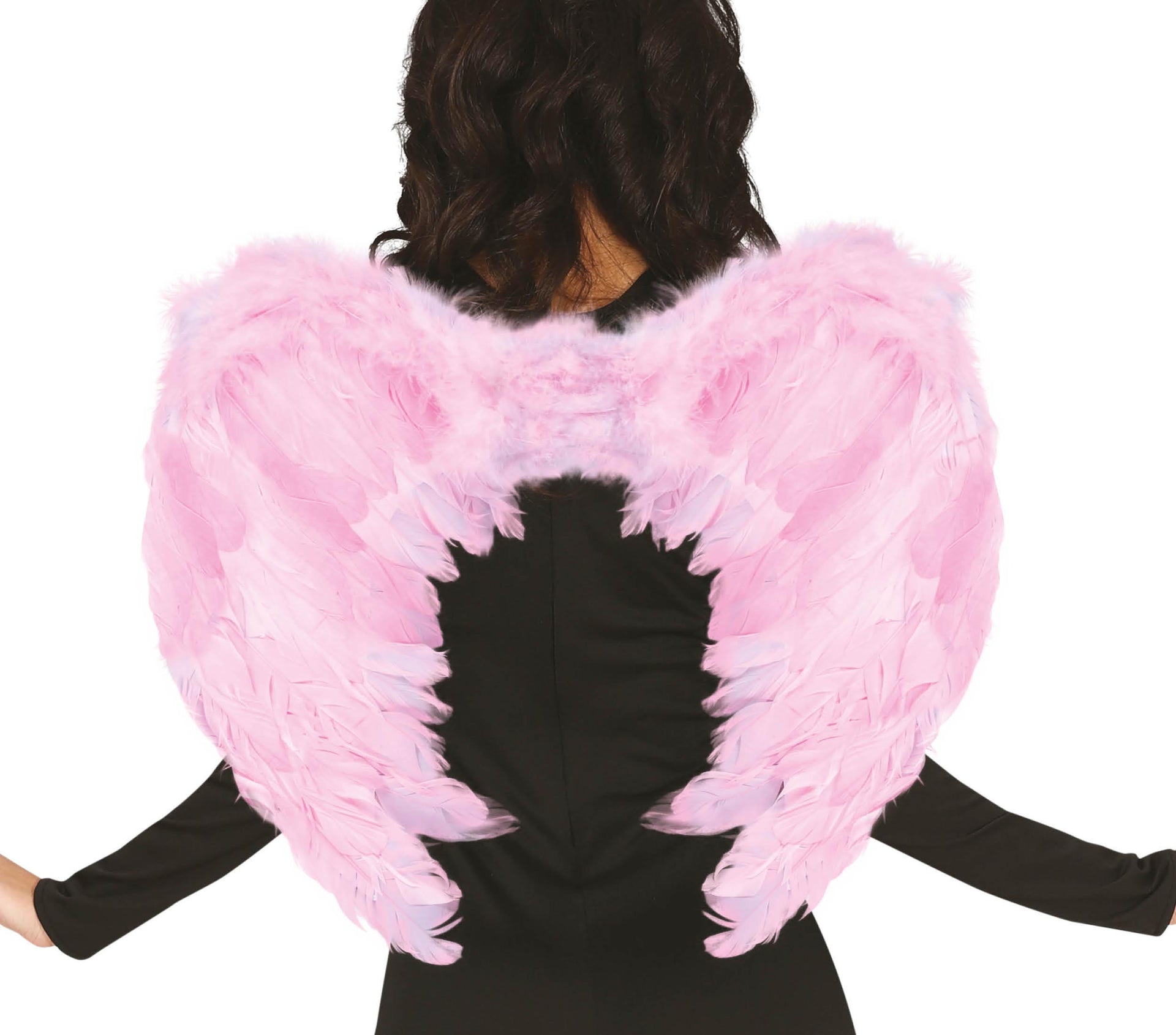 FEATHER WINGS 60X50 CM
