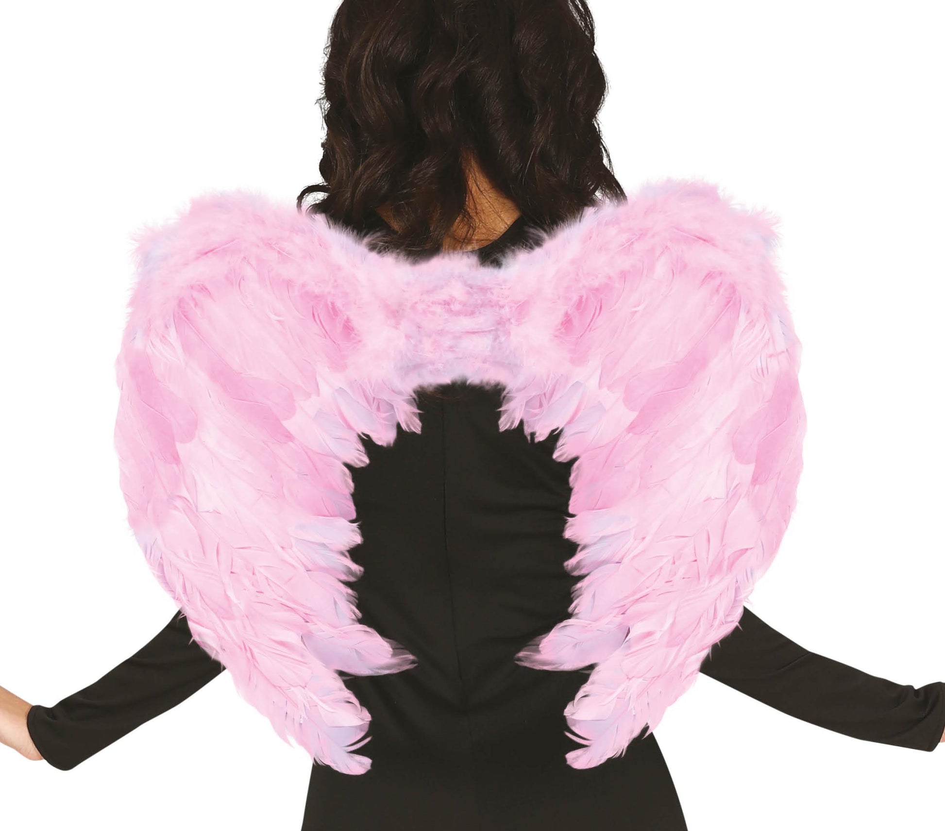 FEATHER WINGS 60X50 CM
