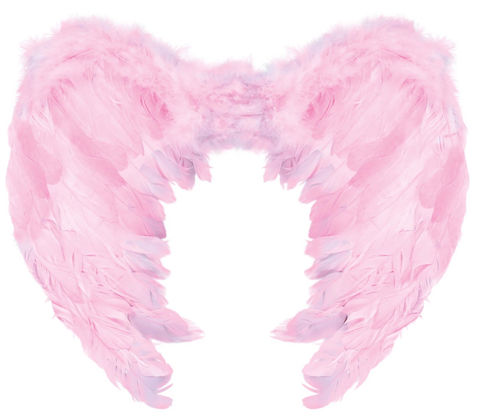 FEATHER WINGS 60X50 CM