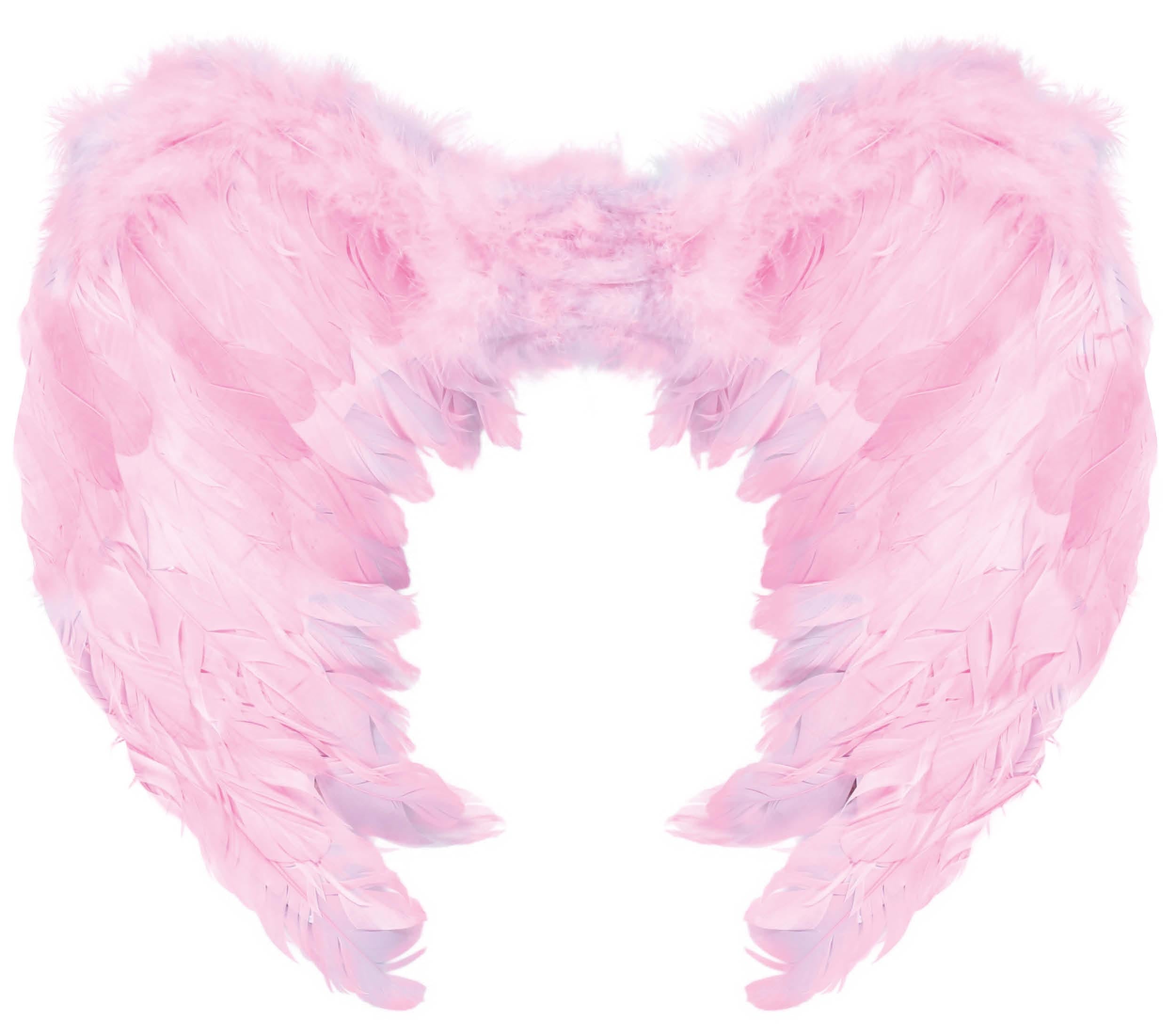 FEATHER WINGS 60X50 CM