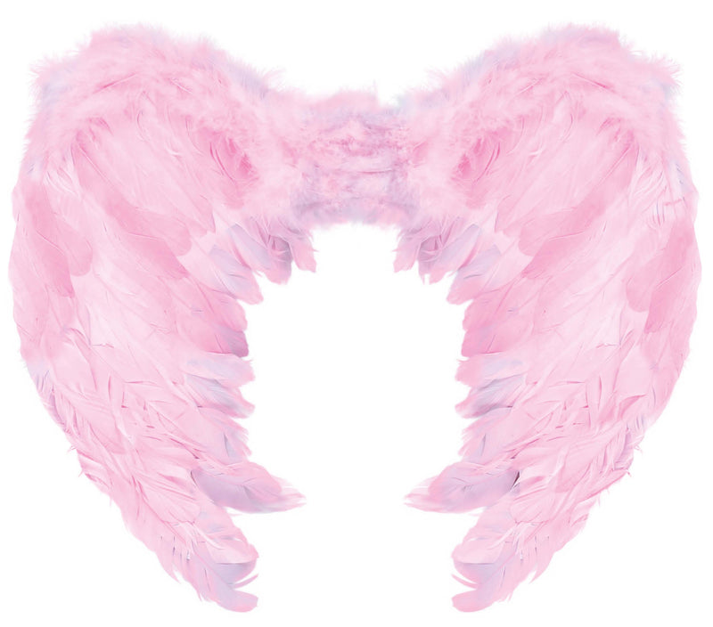 FEATHER WINGS 60X50 CM