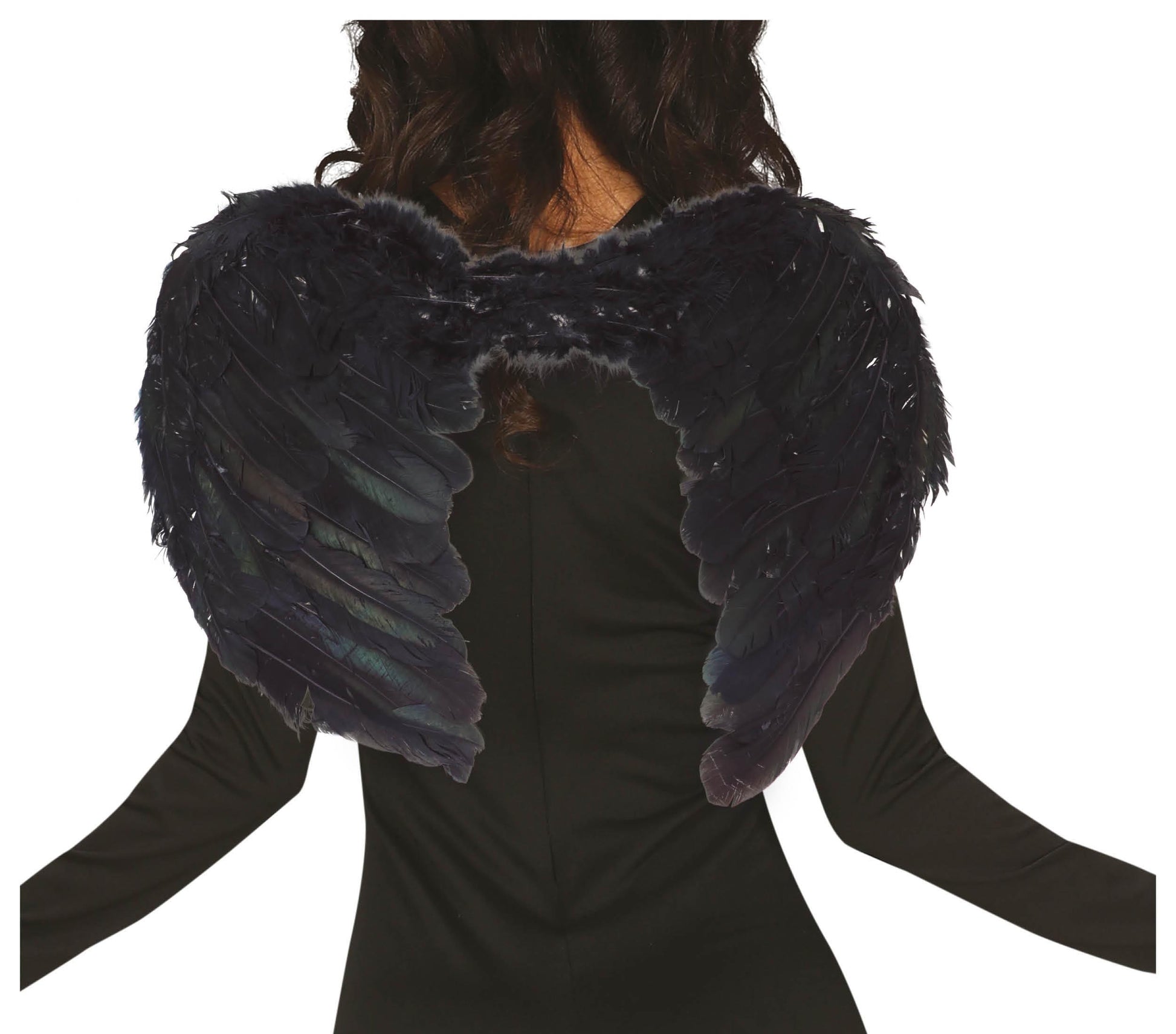 FEATHER WINGS 60X50 CM