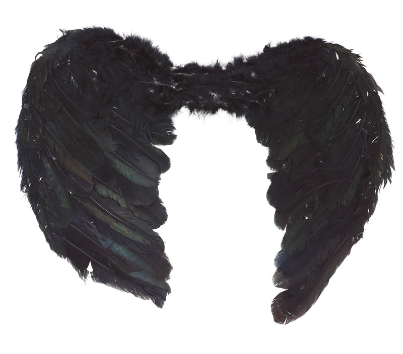 FEATHER WINGS 60X50 CM