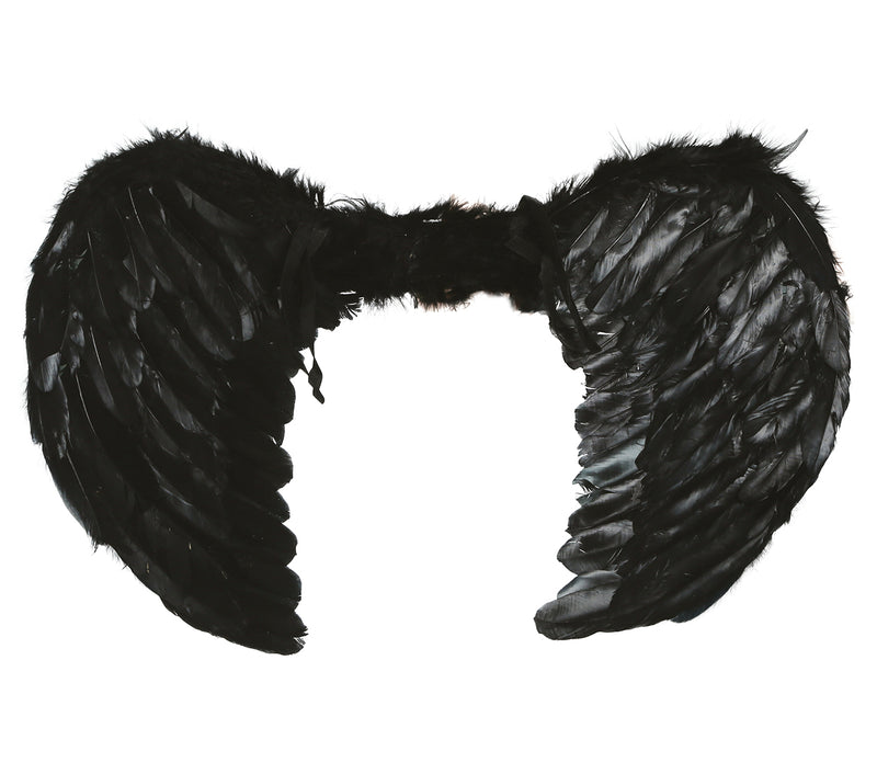 FEATHER WINGS 60X50 CM