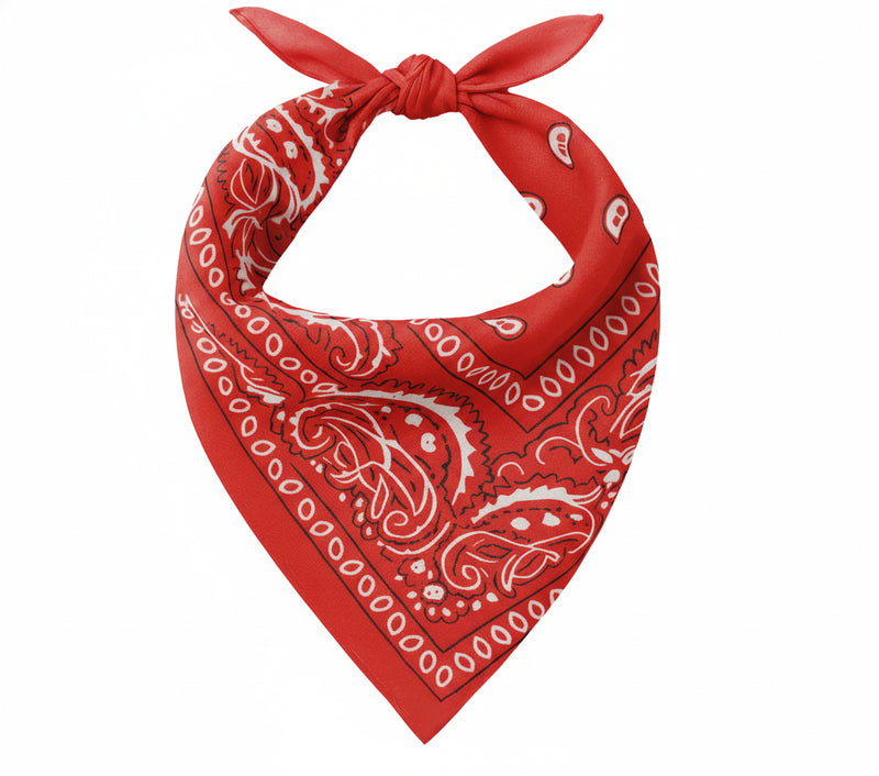 COWBOY KERCHIEF