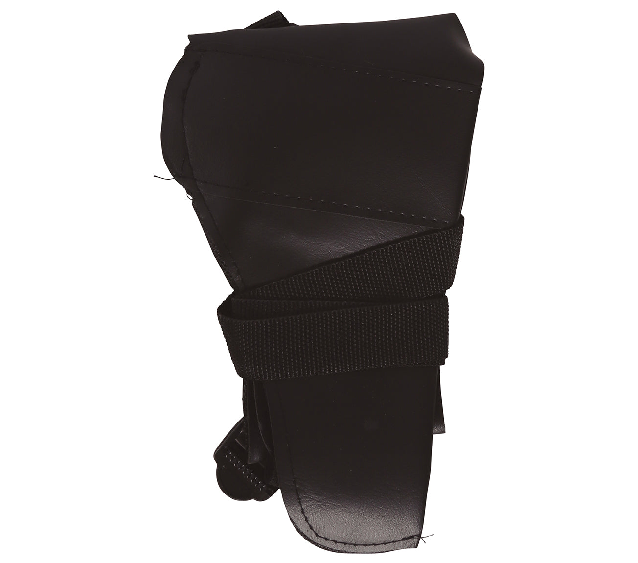 HOLSTER
