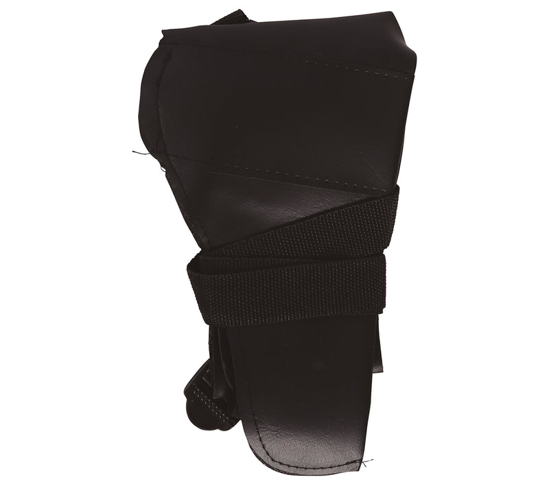 HOLSTER