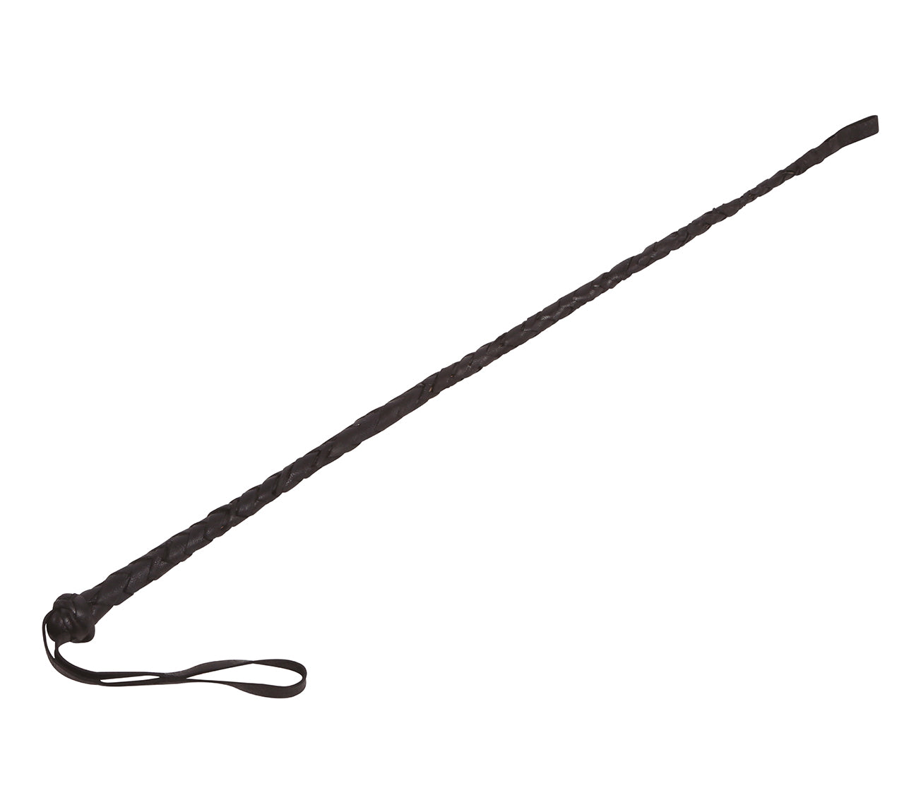 HORSEWHIP 60 CM