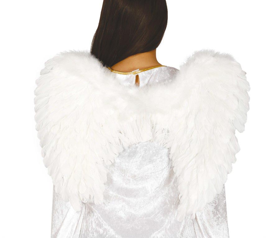 FEATHER WINGS 60X50 CM