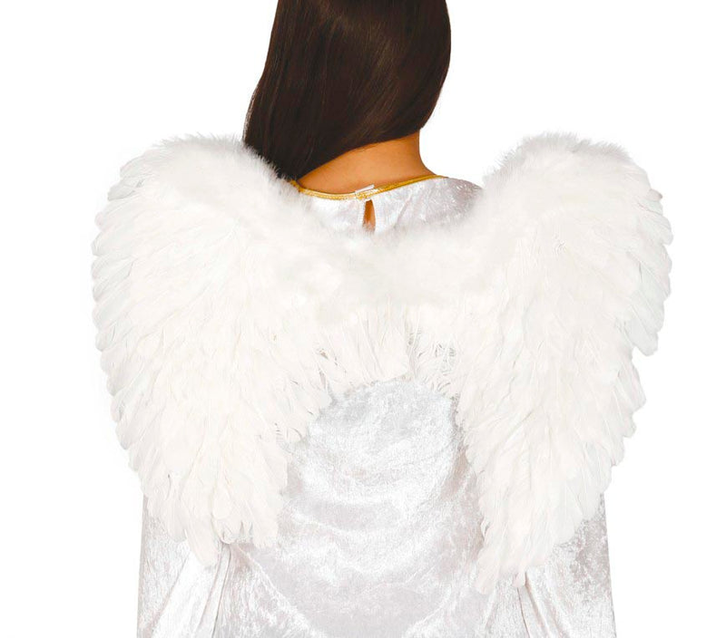 FEATHER WINGS 60X50 CM