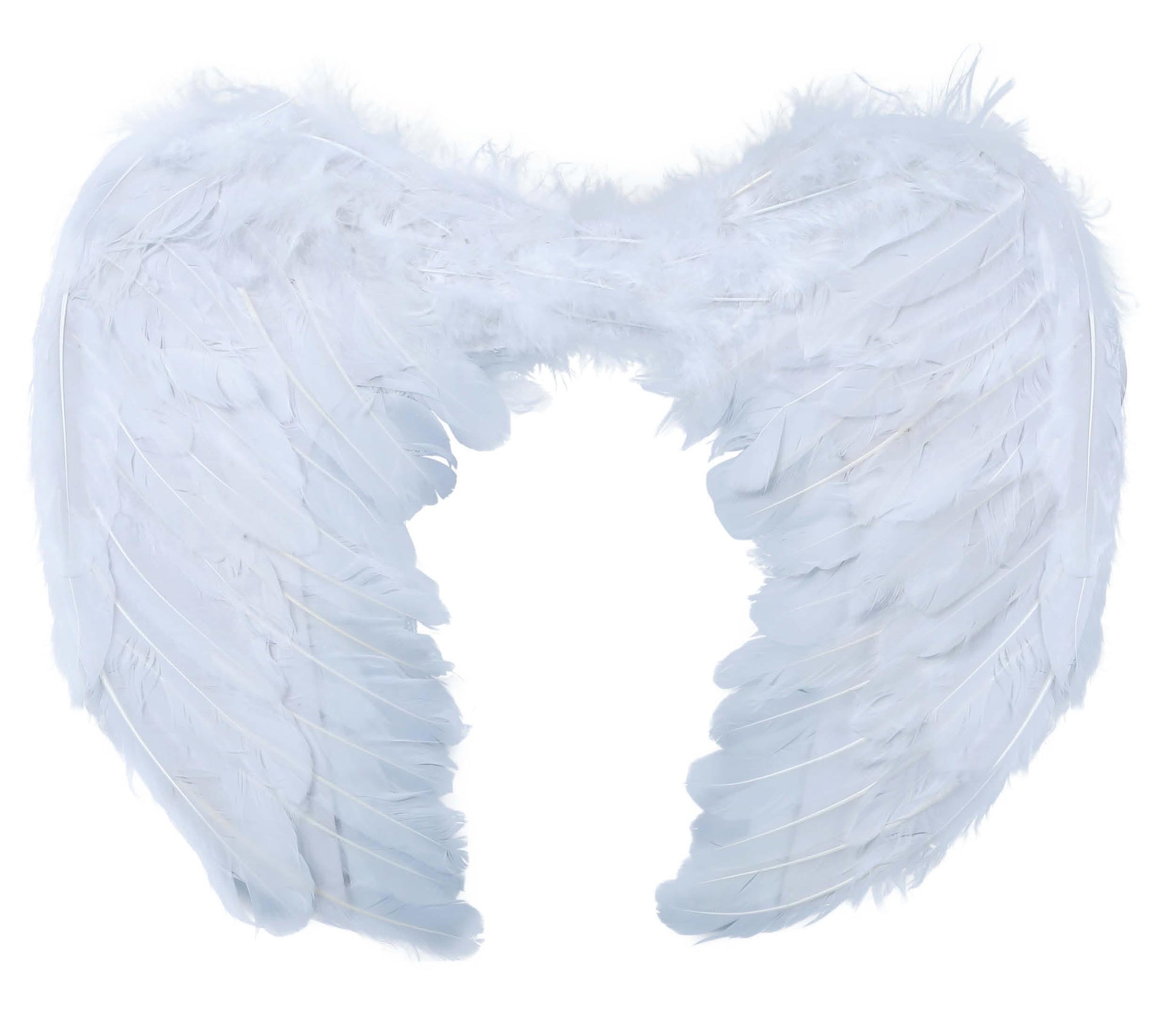 FEATHER WINGS 60X50 CM