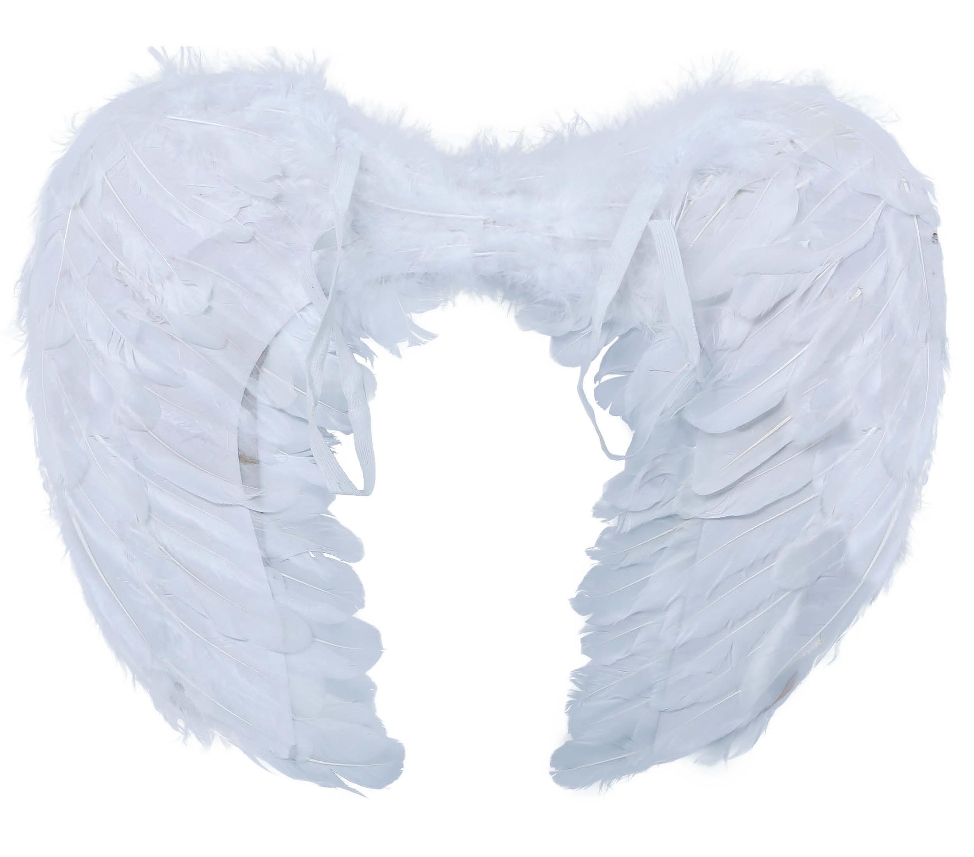 FEATHER WINGS 60X50 CM