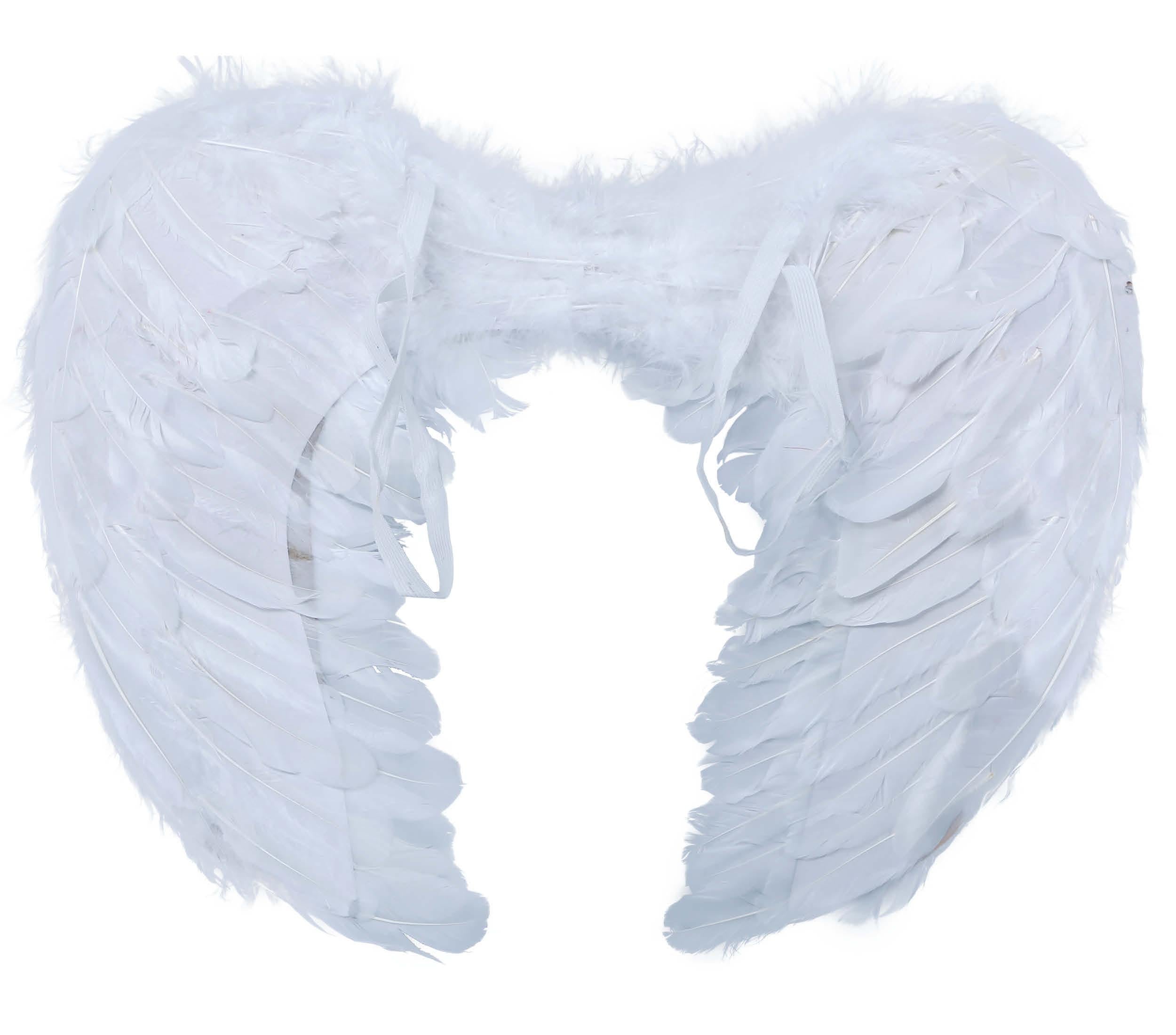 FEATHER WINGS 60X50 CM