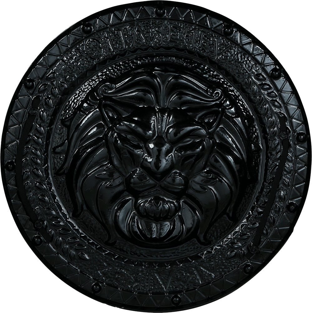 ROMAN SHIELD