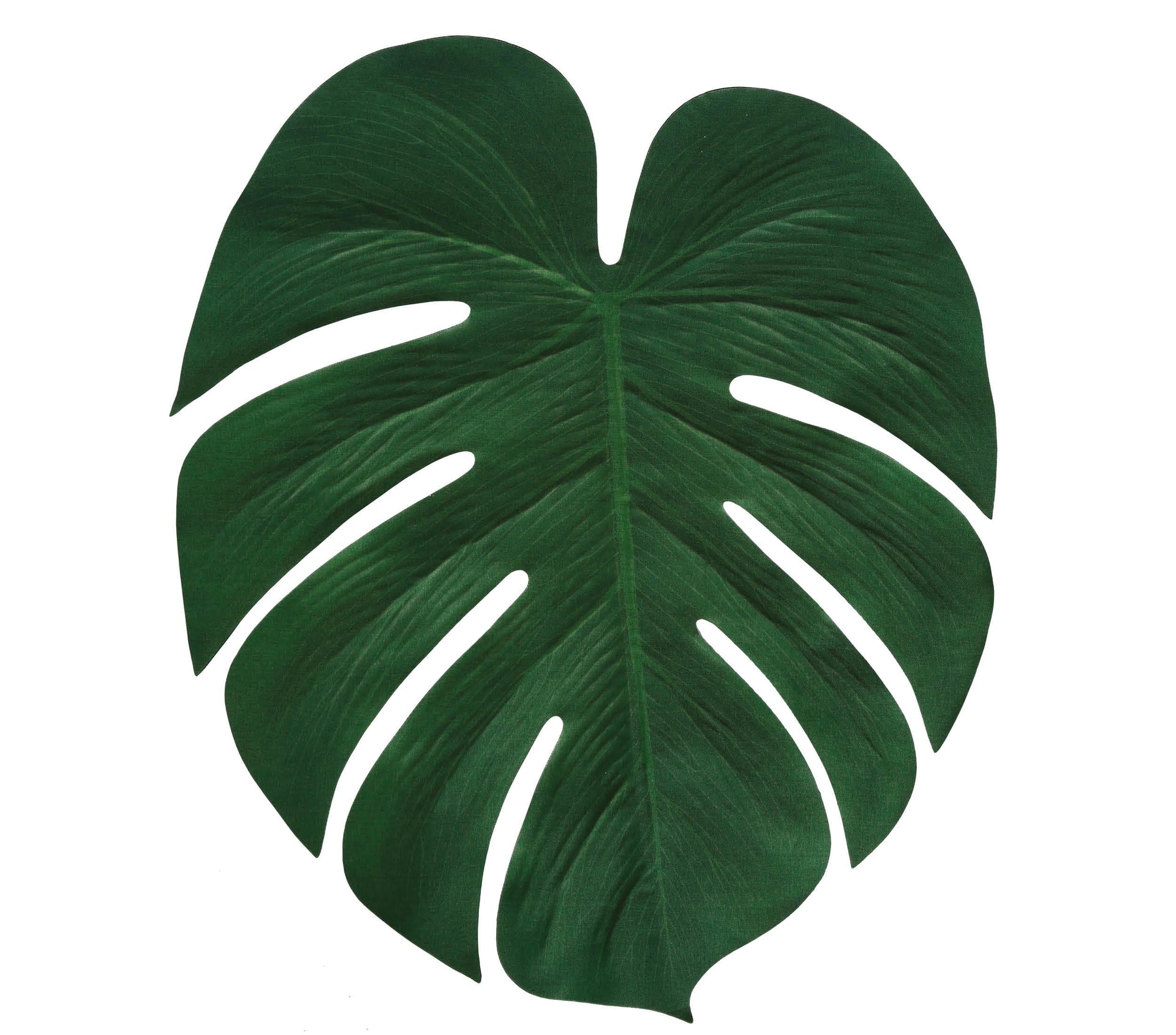 SET 4 PALM LEAVES, 34X30 CMS