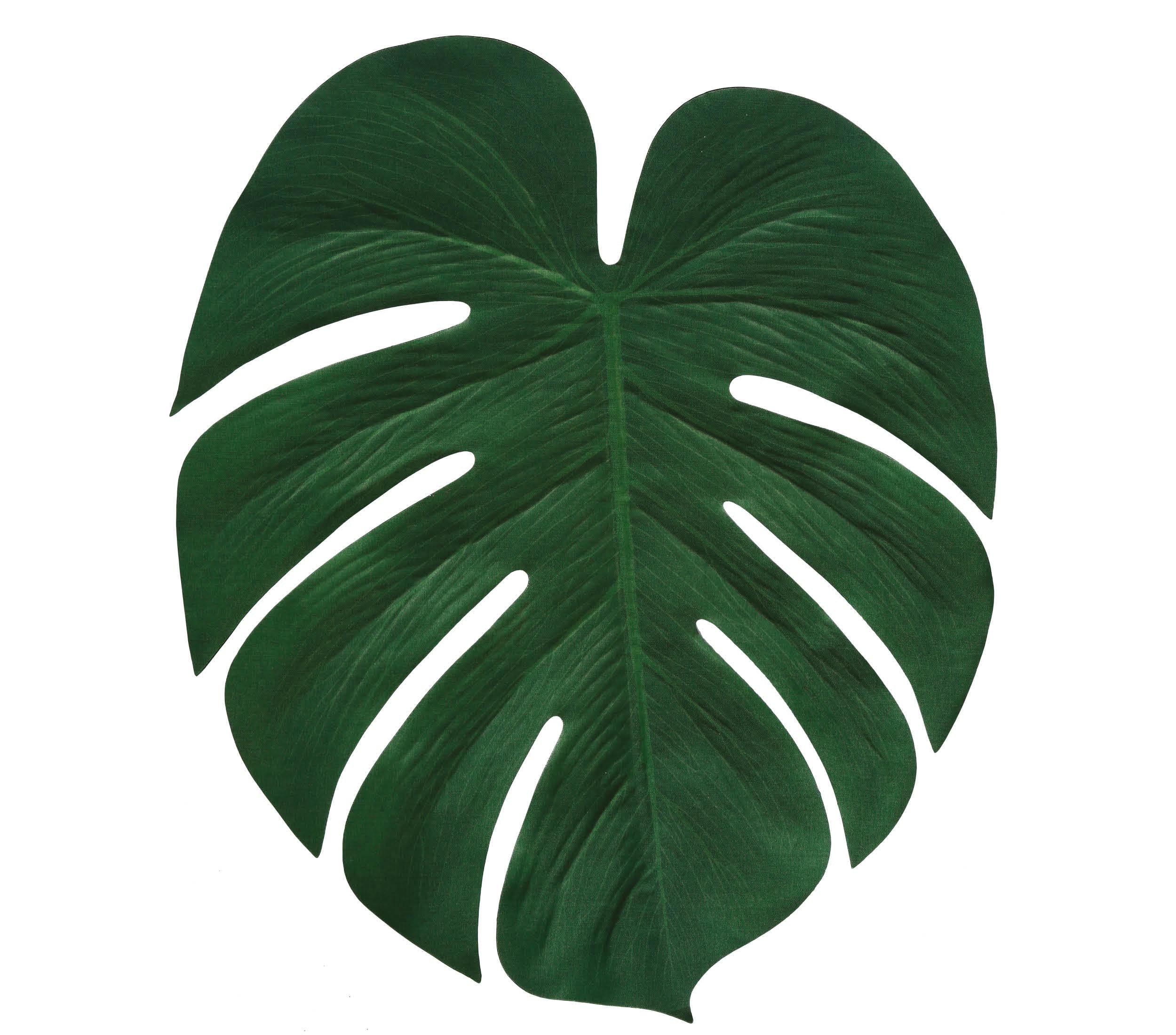 SET 4 PALM LEAVES, 34X30 CMS
